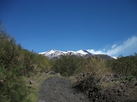 Sciammaro_Lupo - 22042012 077.jpg
